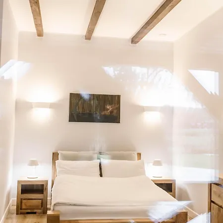 Apartament Kosa śpiew *