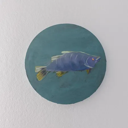 Apartament Kosa śpiew Kosewo (Mragowo)